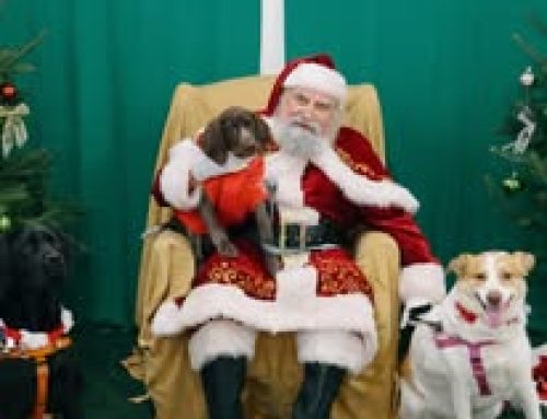 2024 Pet Photos with Santa
