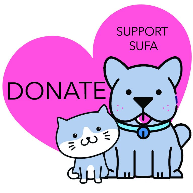 Donate-Now-Image-768×768